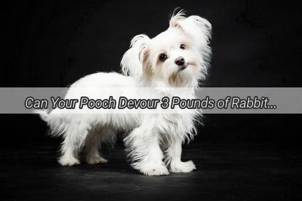 Can Your Pooch Devour 3 Pounds of Rabbit Meat Heres How Long It Will Last